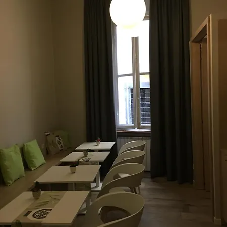 酒店 中心酒店 2*